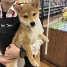 トリミングブログ✂️