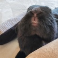 終わり良ければ全て良し。