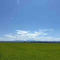 関税交渉決着