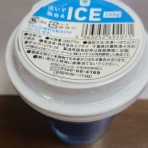 車椅子の旅行と趣味の日記