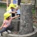 秩父こども園　認めてほめて愛して育てる