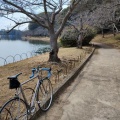 明石公園まで33km