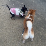 life with ranran & lili