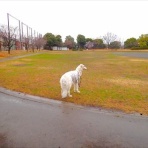 いんちょブログ