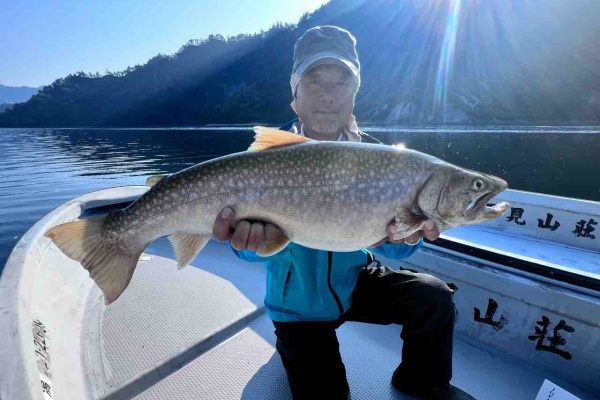 ORA Minnow Serendipity