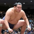【相撲】横綱・豊昇龍、秋場所を初日から休場　右膝手術で調整遅れ、苦渋の決断  [ぐれ★]