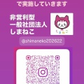 【しまねこプロジェクトから一般社団法人しまねこへ】