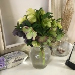 のばらのガーデニングブログ　Hana and Rose Garden+