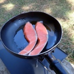 江戸川の畔（ほとり）