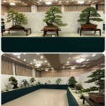 高齢化する各地の愛好会・出来るだけのお手伝い‼️