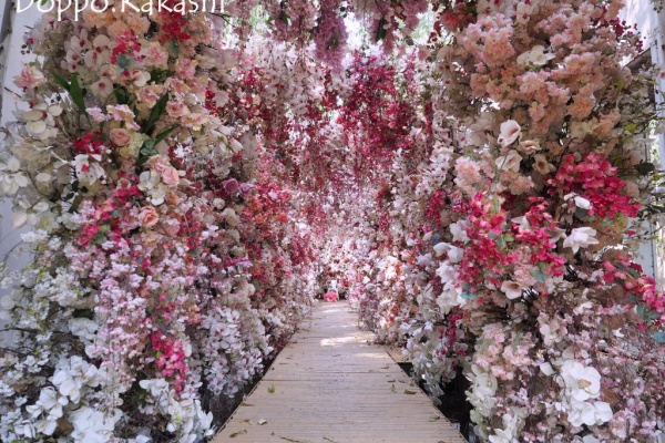 かかし バンコク独歩 バンコク半径2時間の旅 インスタ映える施設