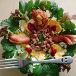 �����ī��5ǯ��٤β���