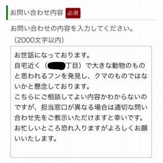 くまニュース