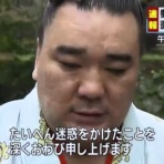 副業おすすめ速報