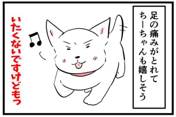 ちーちゃんっ🐾 - ウエスティ