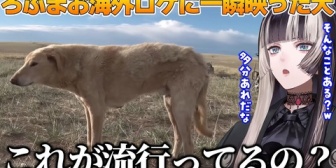 【ホロライブ】らでん、モンゴル犬の流行りに困惑する