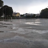 『ゲリラ豪雨にやられました』の画像