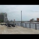 2026 8 09 早朝アジ釣り（万代橋や旧友のことなど）