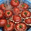 今年も作りました