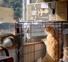 広島本部・2月24日