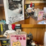 三度の飯＜犬と猫