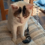 moroのハンドメイド