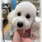 ペットショップ ワンラブ Coaska Bayside横須賀店のスタッフブログ