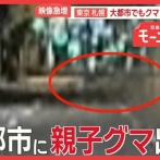 東京、札幌…大都市にクマ「フェーズが変わった」　市街地で「血だらけの女性が」