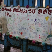 媛ちゃんの19歳のお誕生会♪　（３）