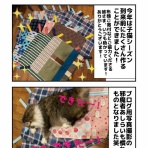 しゃーねこ家のblog