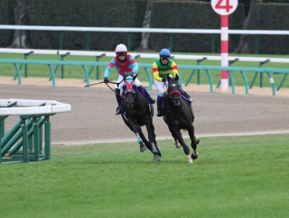 エコロデュエル（25/12/27・第148回 中山大障害・中山競馬場）