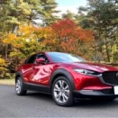 夫の車を契約!! 3万円に焦る(>_<)