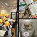 2026年1月11日譲渡会を開催いたしました