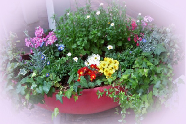 つんちゃん ダイアリー さいたま新都心