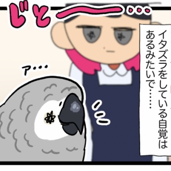 おもちゃよりも鳥カゴを破壊する方が楽しいみたい……
