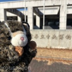 【黒いうさぎのれおんくん∂⍵∂】