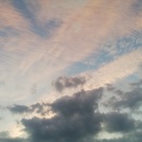 犬視点49