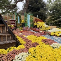 岐阜公園「菊人形・菊花展」