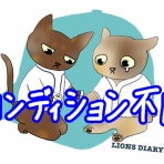 徒然獅子日記