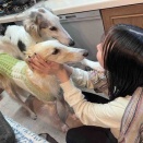 姉ちゃんが帰ってきた！