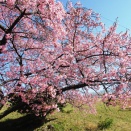 「小牧･長久手の戦い」の舞台／愛知県長久手市移動