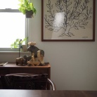 花に興味のないとーさんも、「綺麗やなぁ！」と思わず言った、大輪の花を咲かせるあのお花を飾ってみた！ビフォアフあり！