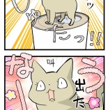 御花摘み後に鳴く猫