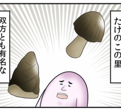 きのこの山vsたけのこの里大戦争