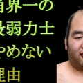 【大相撲】　100場所目の奇跡！３８歳・森麗、序ノ口で初白星！！