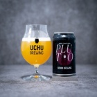 �ؤ����夦�֥롼���󥰡�PLUTO�٤β���