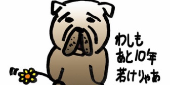 「若さ」を神格化するやつがウザイ…