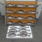 中本渡船ブログ