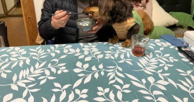 ぼちぼちと回復中