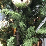 『転職で目指すこと(その八)』の画像